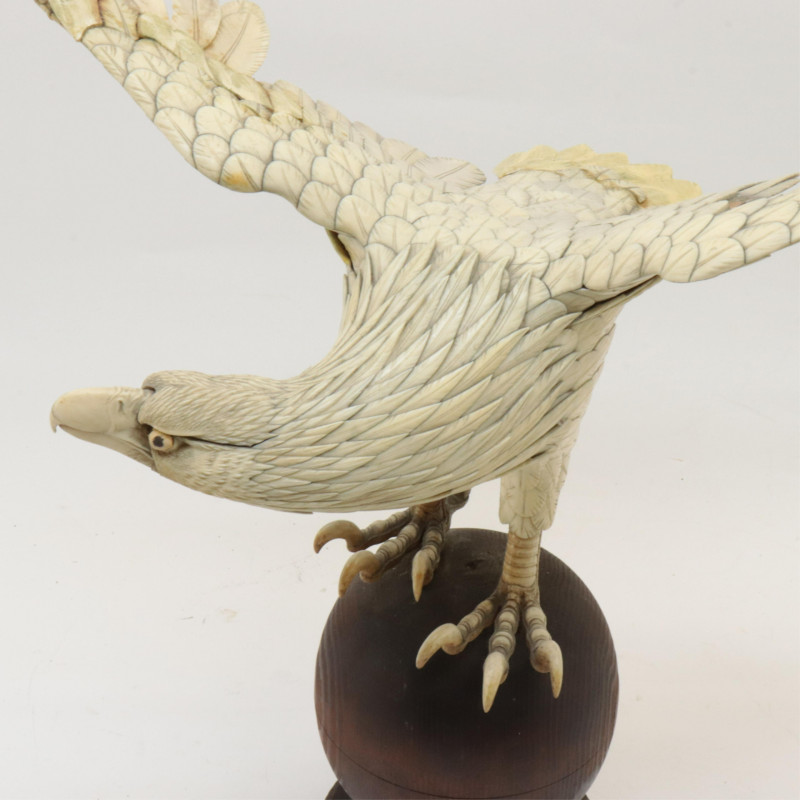 American Eagle with Outspread Wings