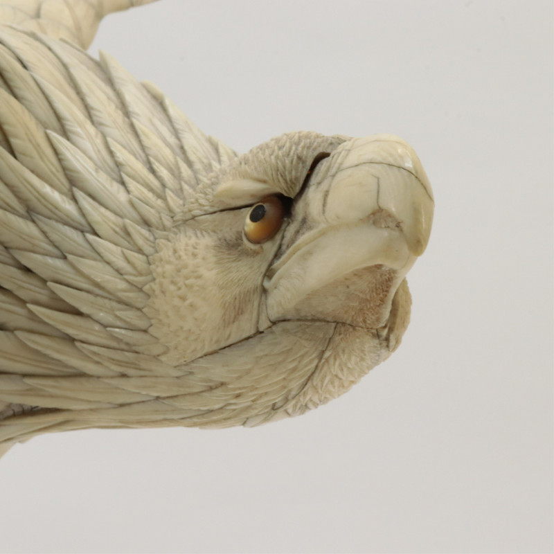 American Eagle with Outspread Wings
