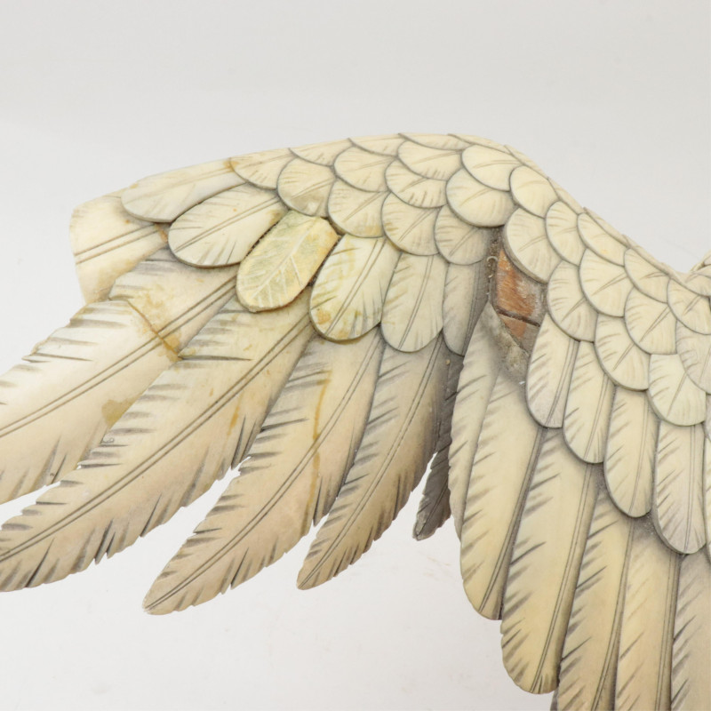 American Eagle with Outspread Wings