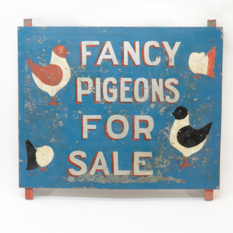7 Advertising Signs &apos;Fancy Pigeons&apos;