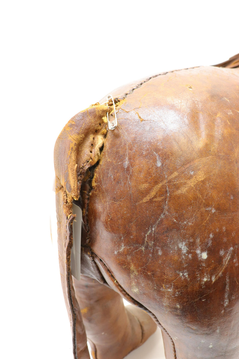 Abercrombie Fitch Style Leather Lion