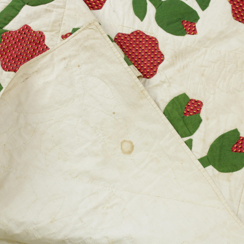 Vintage Quilt: Christmas Cactus