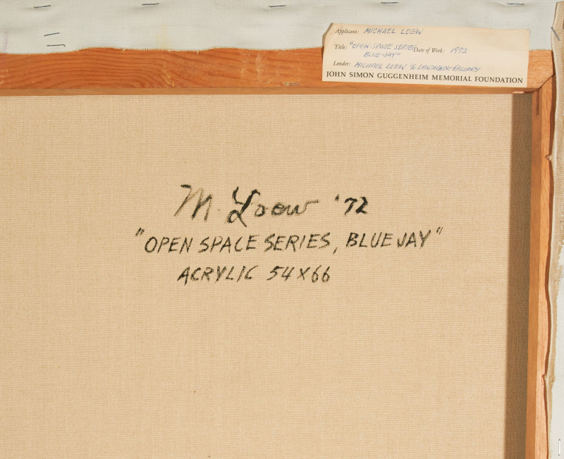 Michael Loew - Open Series, Blue Jay