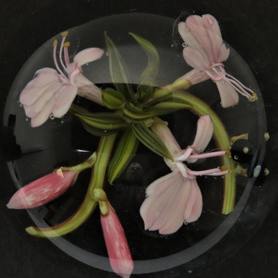 Stankard Flower Bouquet Paperweight
