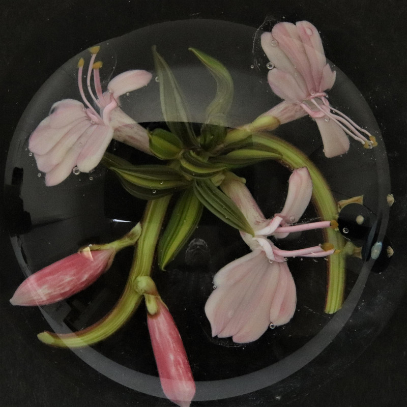 Stankard Flower Bouquet Paperweight
