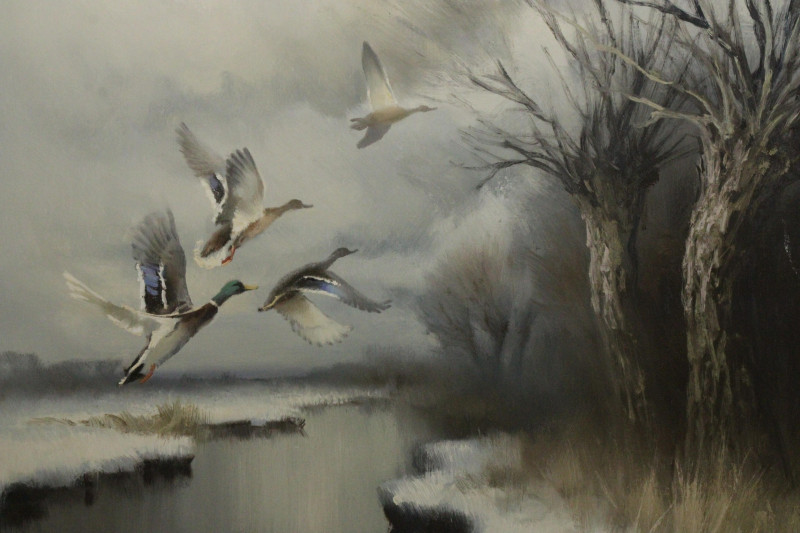 Arnold Schatz Flying Ducks