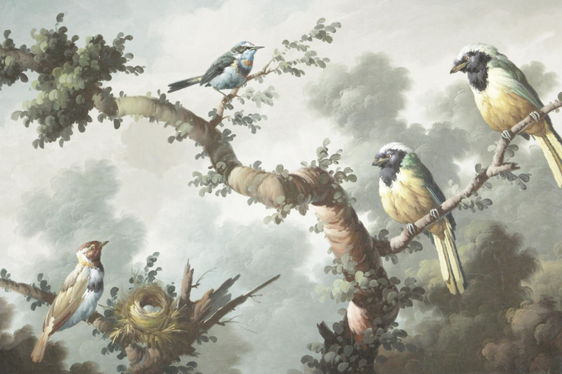 Kuang Lee Birds