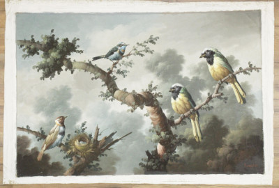 Kuang Lee Birds