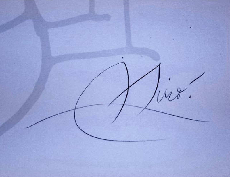 Joan Mir Exhibition Miro Tokyo (M 1172)