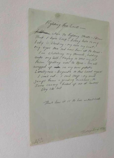 Tracey Emin Fighting for Love