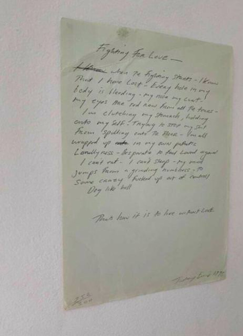 Tracey Emin Fighting for Love