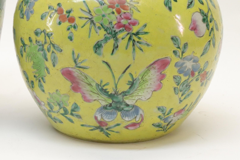 Two Chinese Porcelain Ginger Jars