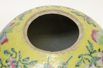 Two Chinese Porcelain Ginger Jars