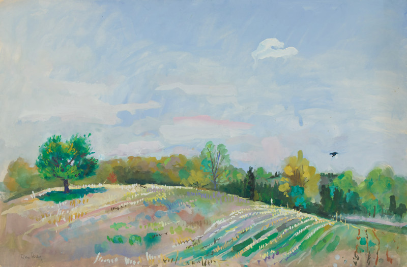 Don Gray - Untitled (Rolling Hills)