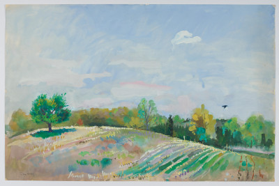 Don Gray - Untitled (Rolling Hills)