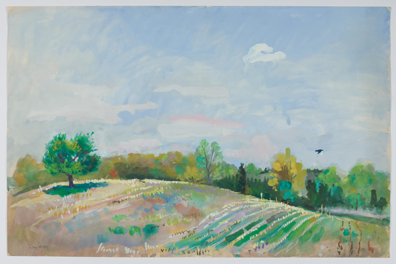 Don Gray - Untitled (Rolling Hills)