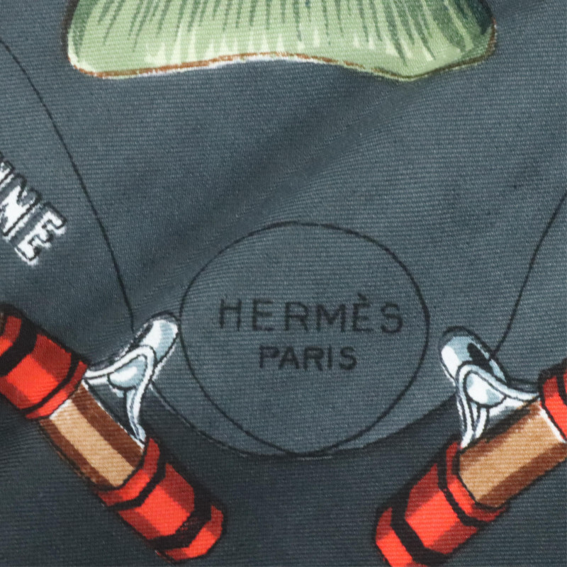 Hermes Silk Scarf Les Truites