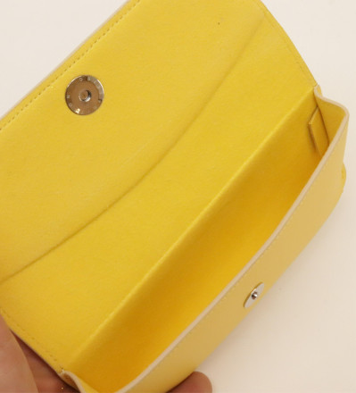Louis Vuitton Damier Azur Woody Glasses Case
