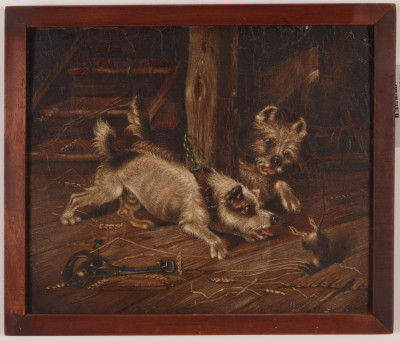 Terriers at Play O/B