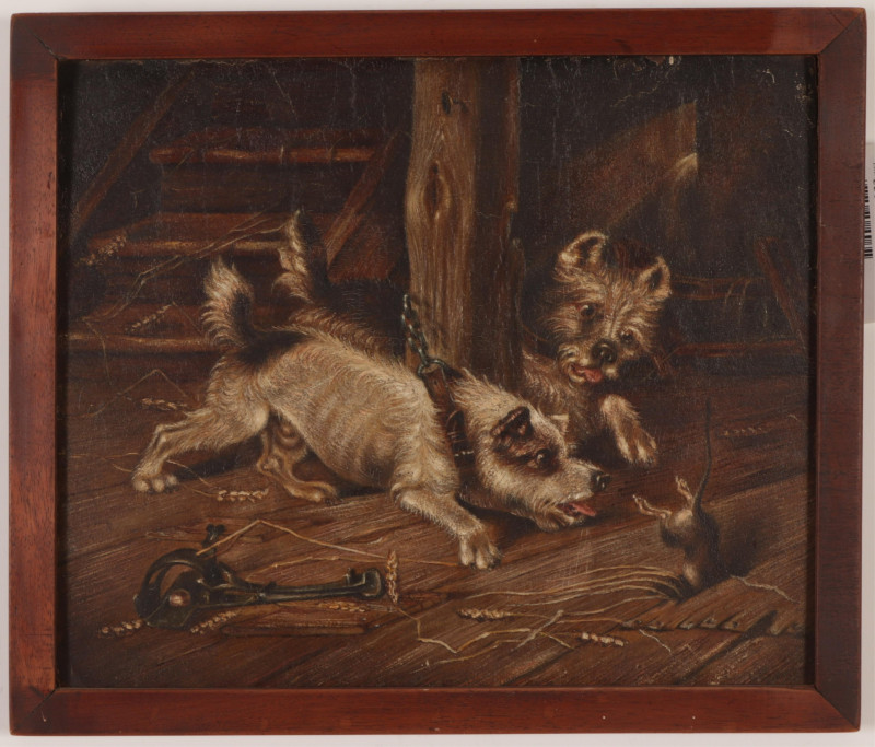 Terriers at Play O/B