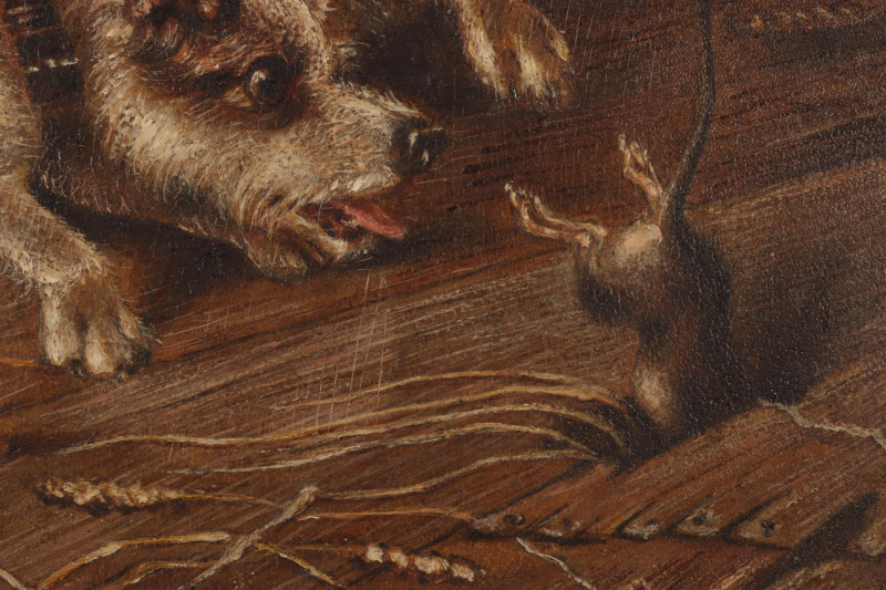 Terriers at Play O/B