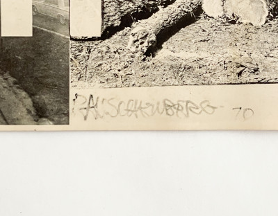 Robert Rauschenberg - Earth Day