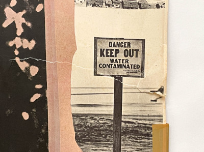 Robert Rauschenberg - Earth Day