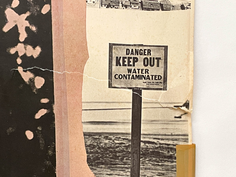 Robert Rauschenberg - Earth Day