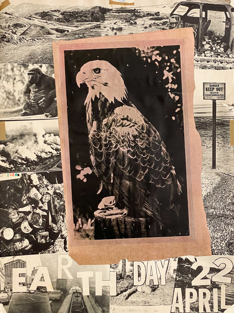 Robert Rauschenberg - Earth Day