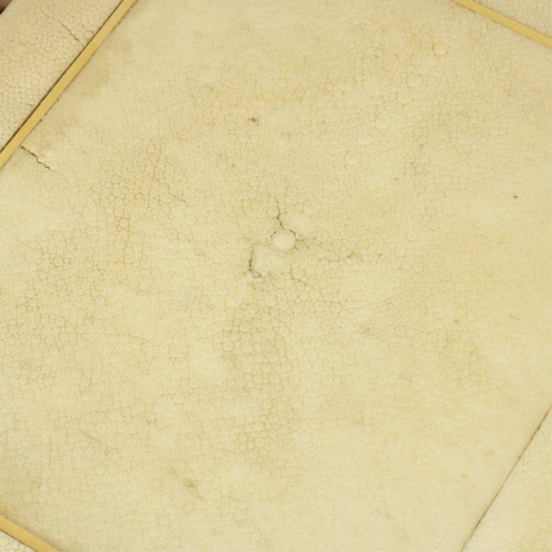 Modern Shagreen Veneered Side Table
