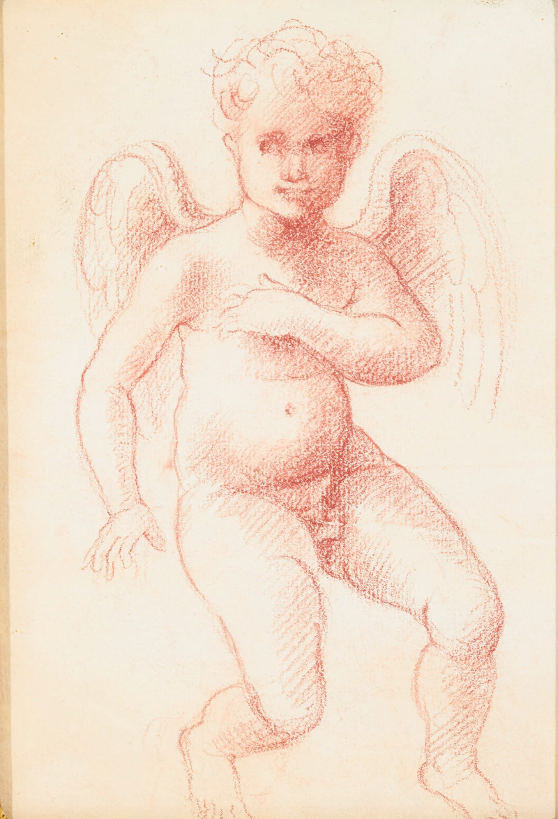 Artist Unknown - Group of Four Cherub Drawings