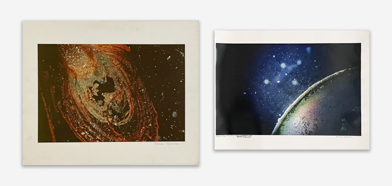 Roman Vishniac - Microscope Photographs (2)