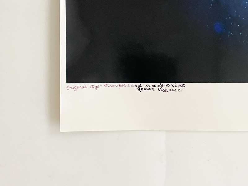 Roman Vishniac - Microscope Photographs (2)