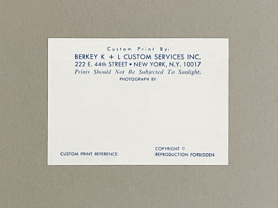 Roman Vishniac - Microscope Photographs (2)
