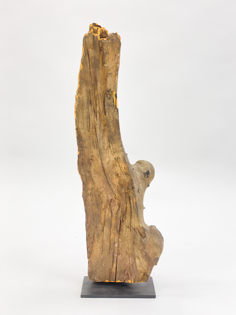 Unknown Artist - Untitled (Painted Tree Limb)