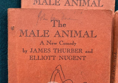 THURBER Male Animal (3 assoc. copies) + program