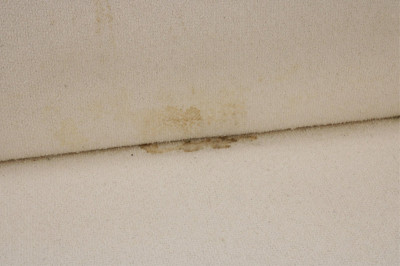 Adrian Pearsell Style Ash Sofa
