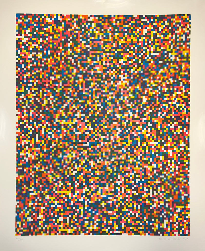 Tauba Auerbach - A Half Times a Half Times a Half (Coarse)