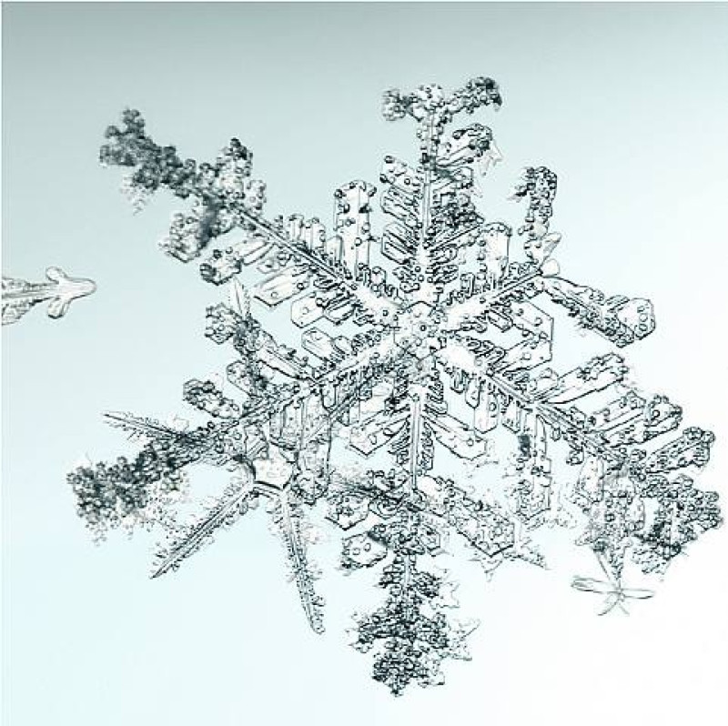 Doug &amp; Mike Starn - Untitled (Snowflake)