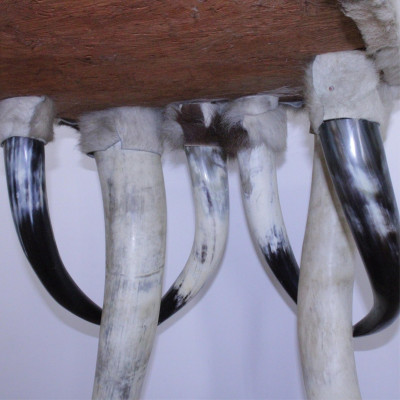 Wenzel Friedrich Style Horn &amp; Cow Hide Console