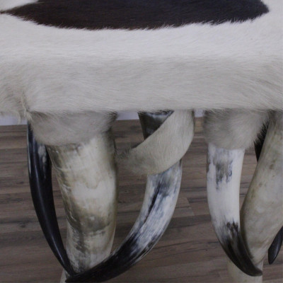 Wenzel Friedrich Style Horn &amp; Cow Hide Console