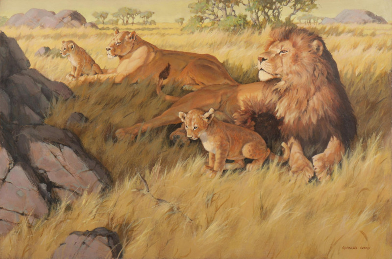 Marcel Bordei - Pride of Lions O/B