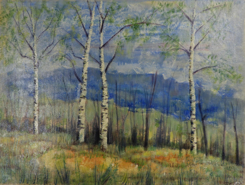 V. Sever - Summer Birch Trees