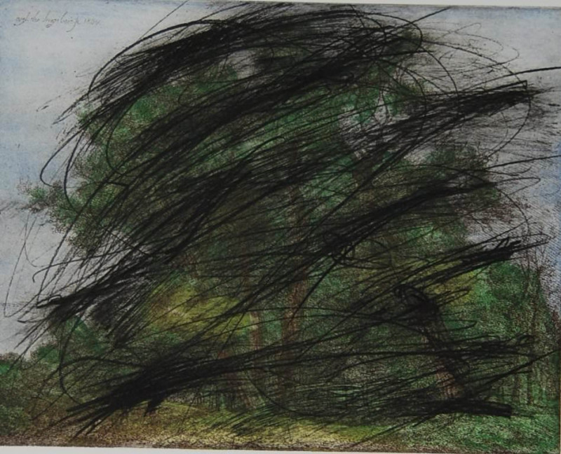 Arnulf Rainer Wald und Wiesen