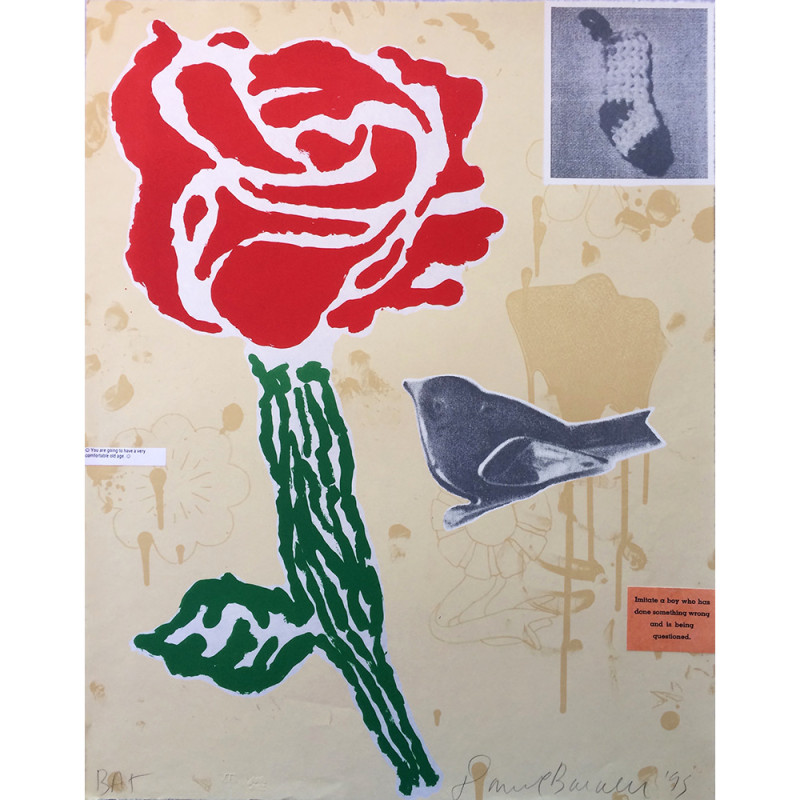Donald Baechler Albuquerque Flower