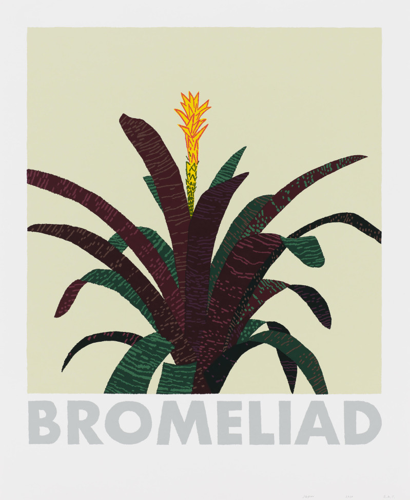 Jonas Wood Bromeliad