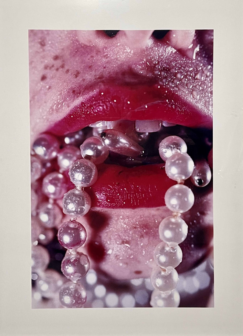 Marilyn Minter Bullet