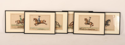 6 Lipizzaner Color Prints