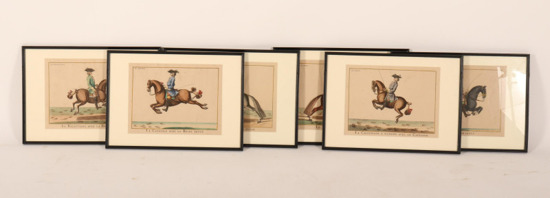 6 Lipizzaner Color Prints