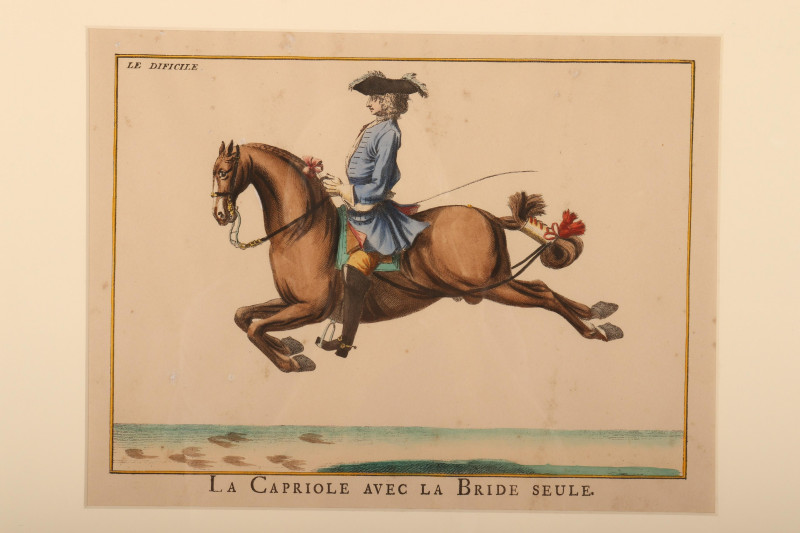 6 Lipizzaner Color Prints